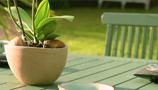 Paint (Exterior Colours) (8)